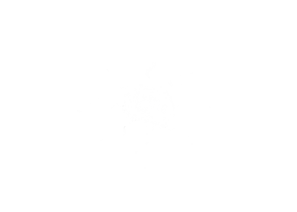 Solgrown logo