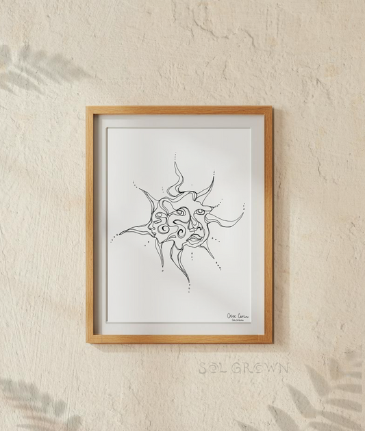 Solar Perspective (Meaning & Print)