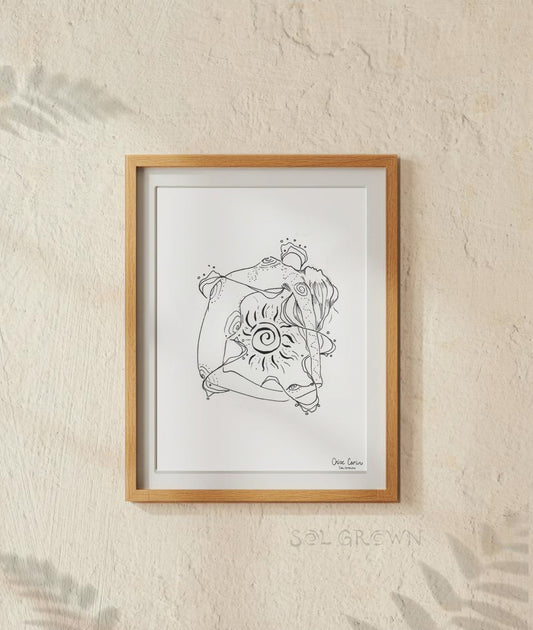 Divine (Meaning & Print)