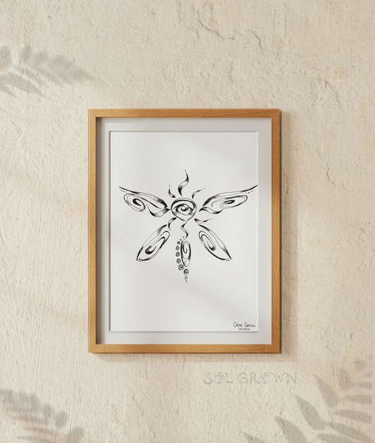 Solarfly (Meaning & Print)